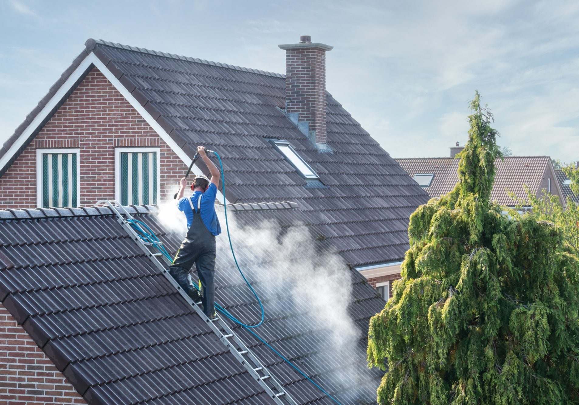 Roof Cleaning Services