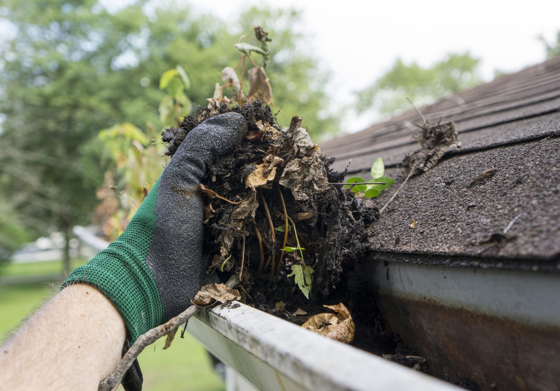 gutter cleaning